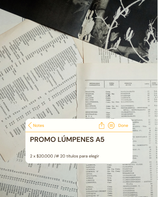 Producto - PROMO: 2 LÚMPENES A ELECCIÓN - 0