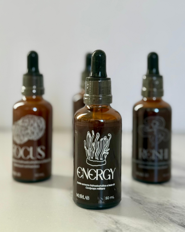 Producto - Cordyceps