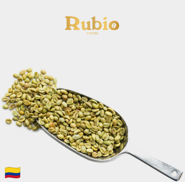 Producto - 1 KG Café en grano Verde Colombia TOLIMA - Caturra Castillo