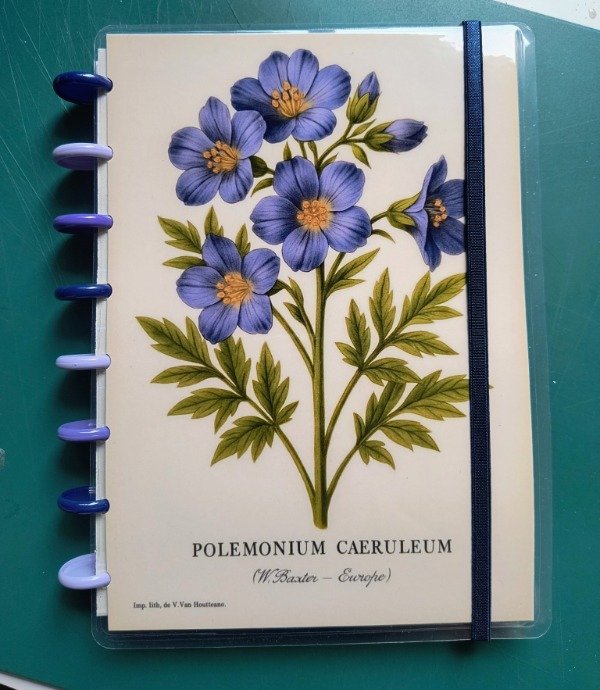 Producto - Cuaderno Universitario A4 Personalizado