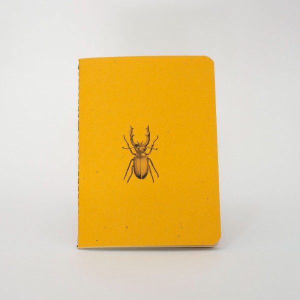 Producto - CARINO - COLECCION - 10