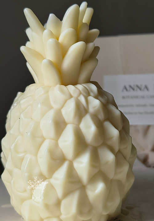 Producto - Ananas Regia - 1