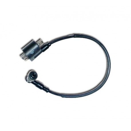 Producto - MOT- BOBINA IGNICION SMASH-BIT