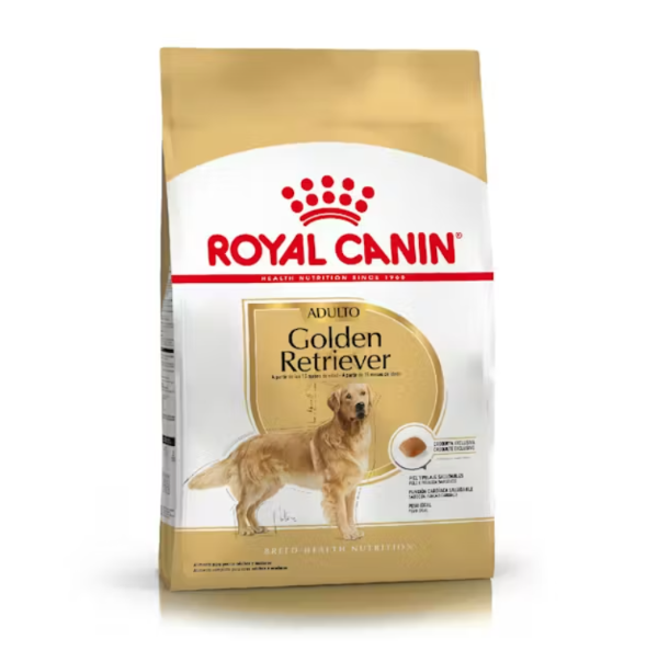 Producto - Golden Retriever Adulto