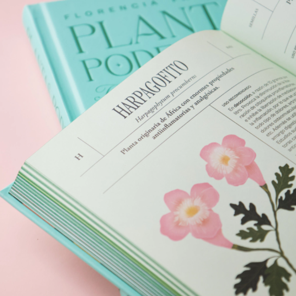 Miniatura de producto - 11