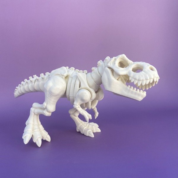 Producto - Esqueleto de T-Rex - 1