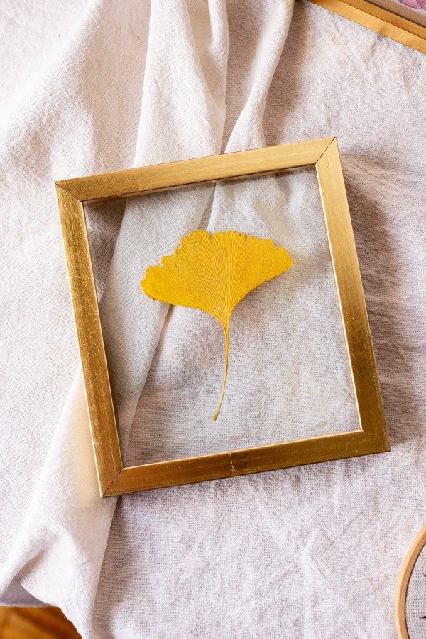 Producto - Ginkgo