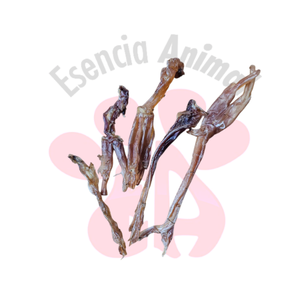 Producto - Tendón deshidratado