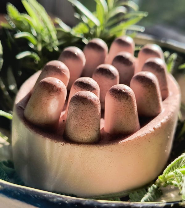 Producto - Jabón Masajeador Maderas del Bosque - 0