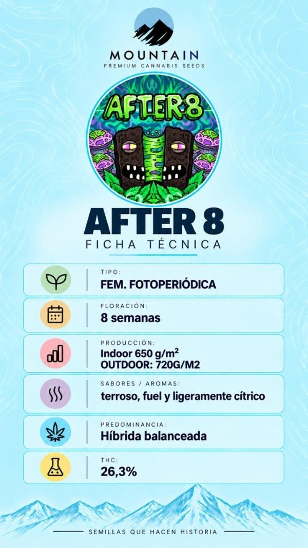 Producto - AFTER 8 (3 unidades) - 1