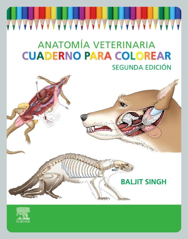 Producto - Singh:  Anatomía Veterinaria. Cuaderno para Colorear, 2da