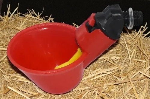 Producto - BEBEDERO AUTOMÁTICO (PACK X 10)
