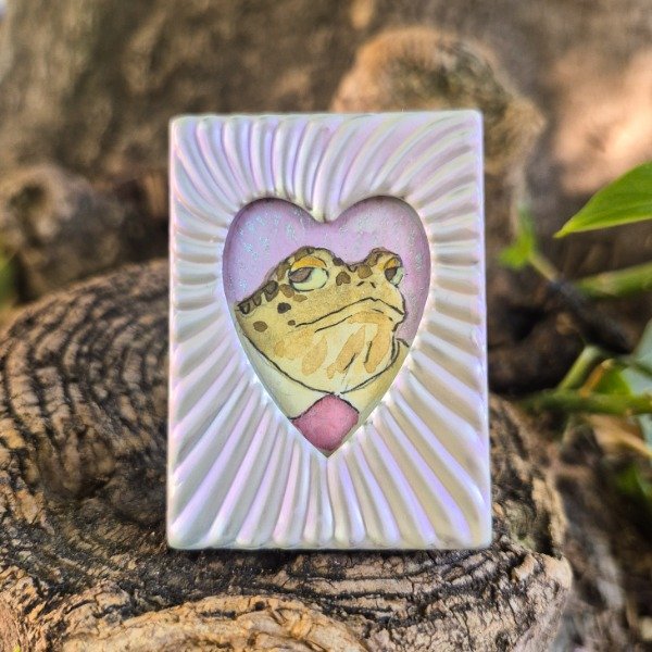 Producto - Guardianes del Hogar: Sapito