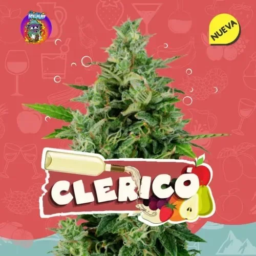 Producto - CLERICO feminizada x4 El Riqui Genetics