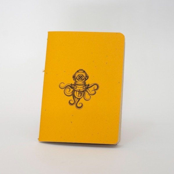 Producto - CARINO - COLECCION - 3