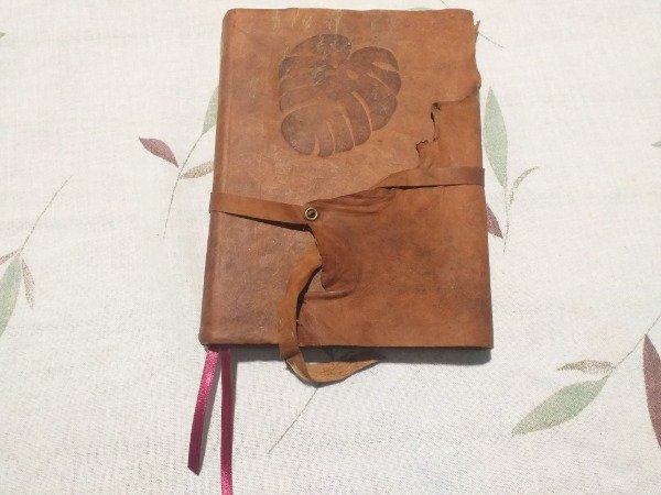 Producto - Monstera en cuero