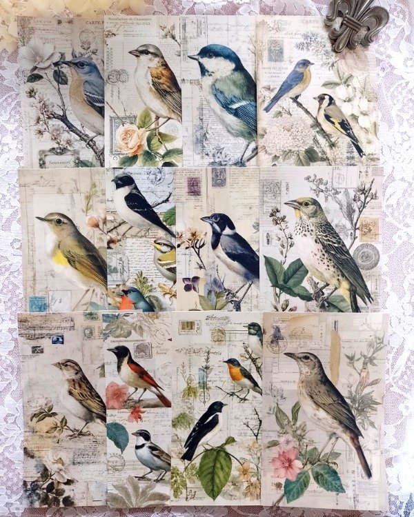 Producto - POSTCARD Pajaritos