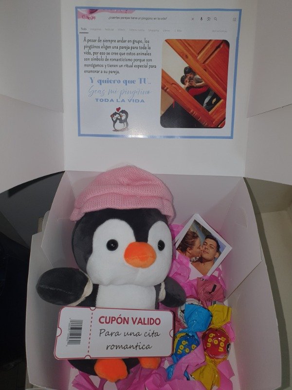 Producto - Box pingüino