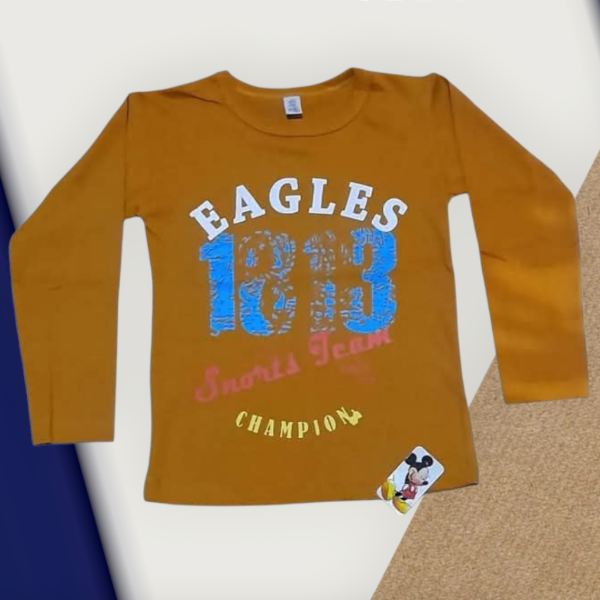 Producto - Remeras manga larga nene TALLE 6