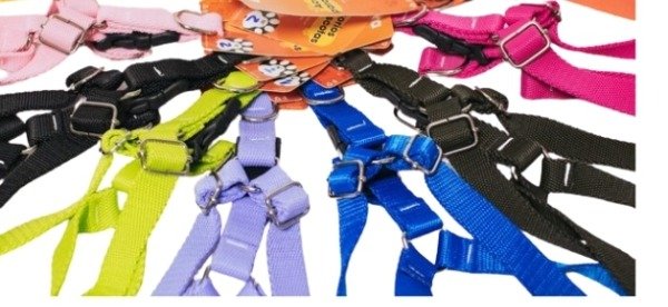 Producto - Pretal regulable N1