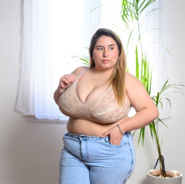 Producto - Corpiño Sofia con Aro