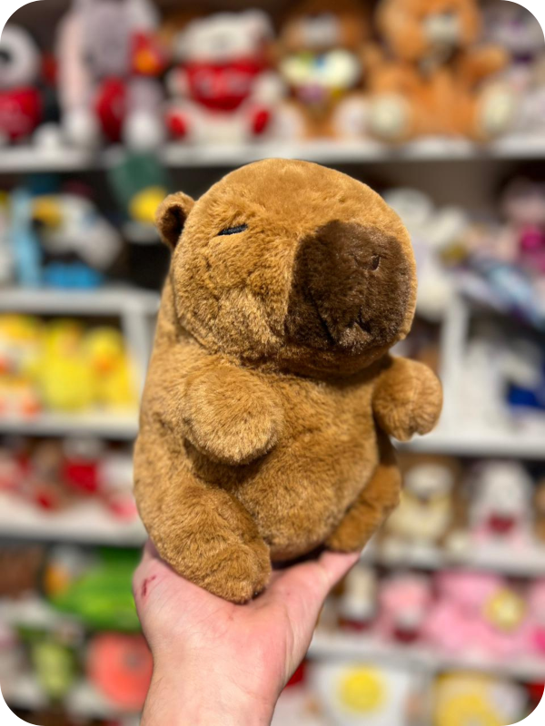 Producto - Carpincho chico