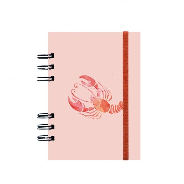 Producto - Cuaderno A6 Cáncer
