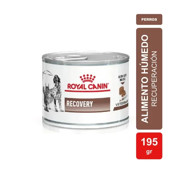 Producto - LATA RECOVERY 195GR