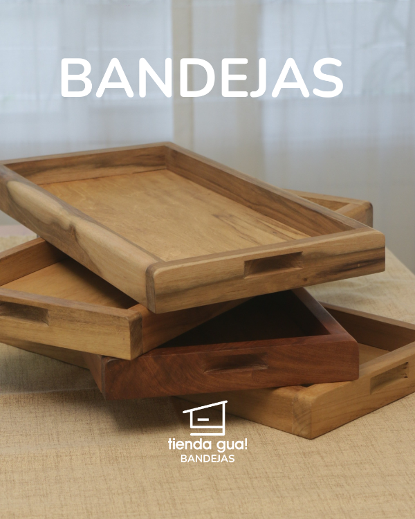 Producto - bandejas