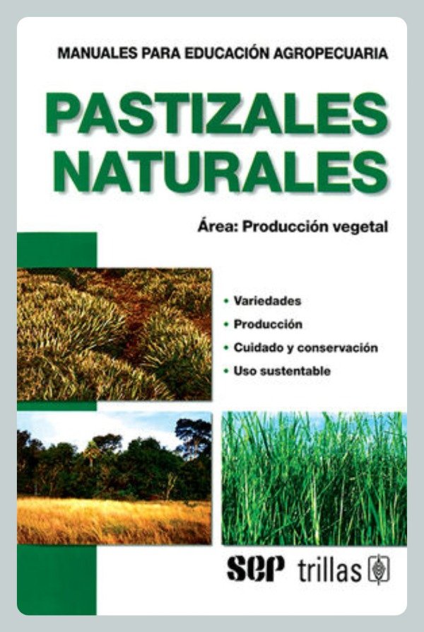 Producto - Pastizales Naturales - Producción Vegetal