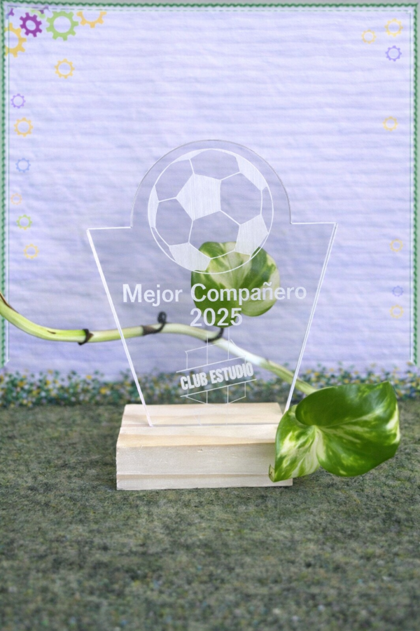 Producto - 10 ACRÍLICOS 10 x 10cm - IDEAL PARA TROFEOS, RECONOCIMIENTOS Y CENTROS DE MESA