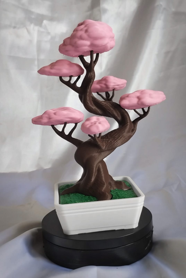Producto - Bonsai Decorativo