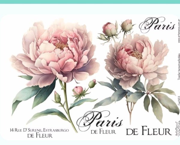 Producto - Buenos deseos b