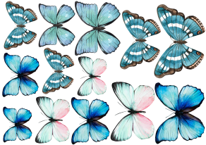 Producto - MARIPOSAS 9 TRANSFERMIXED A4