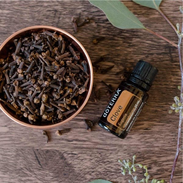 Producto - ACEITE ESENCIAL CLAVO  DE OLOR 15 ML