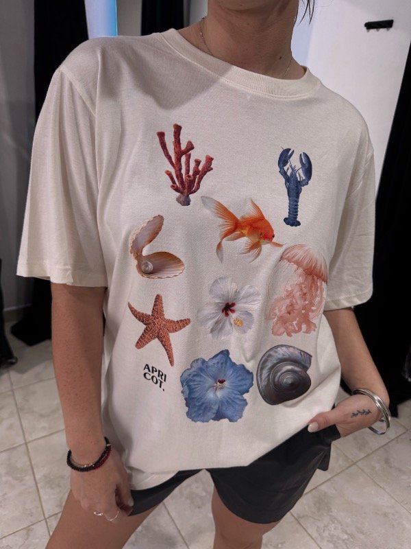 Producto - Remera estrella