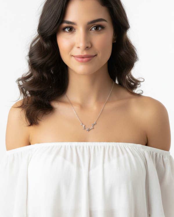 Producto - Constelaciones - consultar signo