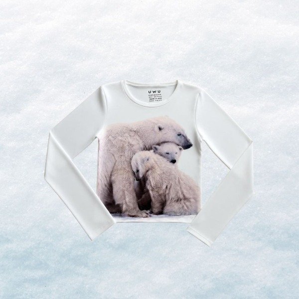 Producto - osito polar