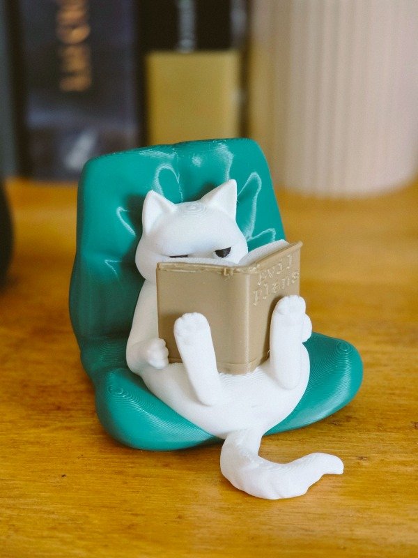 Producto - GATITO LECTOR EVIL PLANS - 4