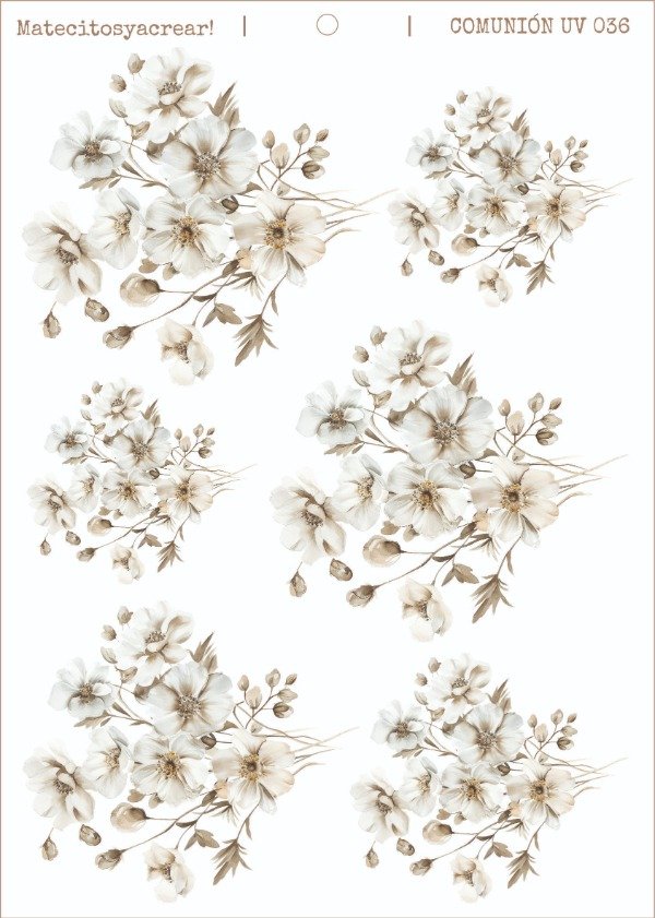 Producto - CB UV 036