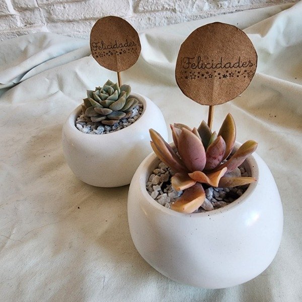 Producto - Maceta de Cemento - Ideal Souvenir