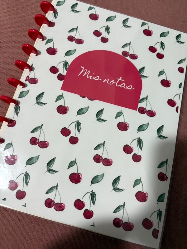Producto - Cuadernos a4 sistema a discos