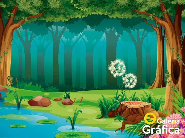 Producto - Bosque FS FS01