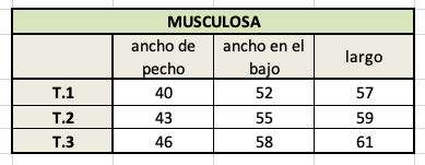 Imagen de producto - 3