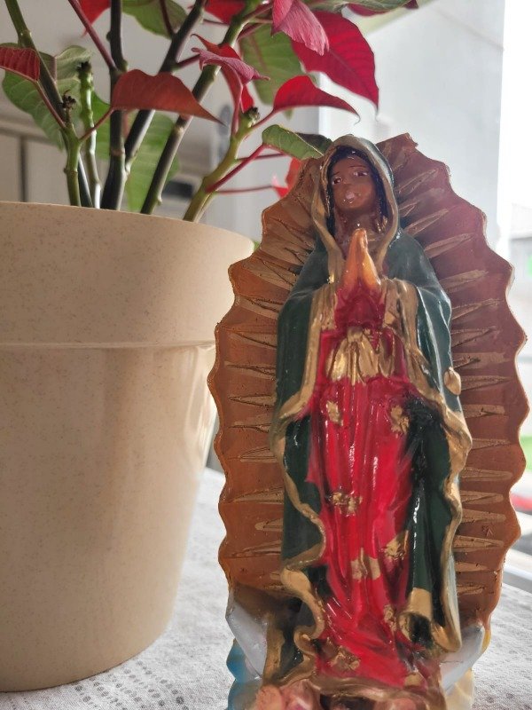 Producto - VIRGEN DE GUADALUPE