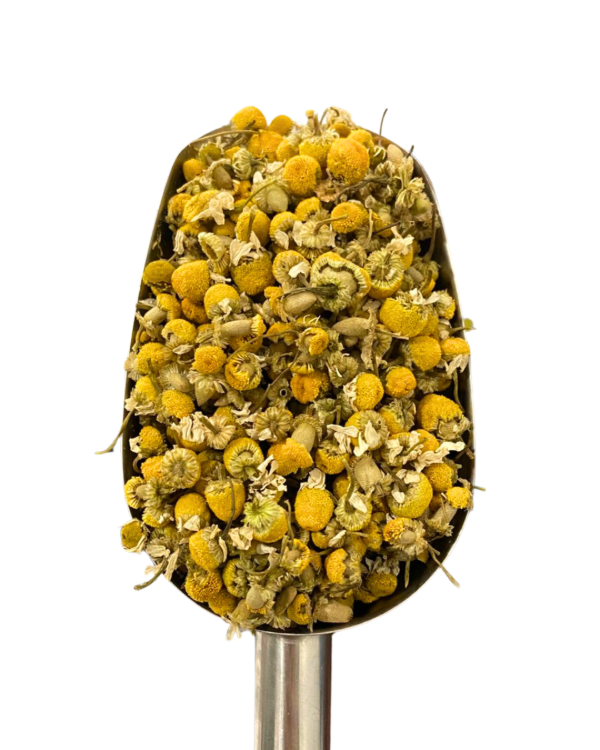 Producto - MANZANILLA EN FLOR