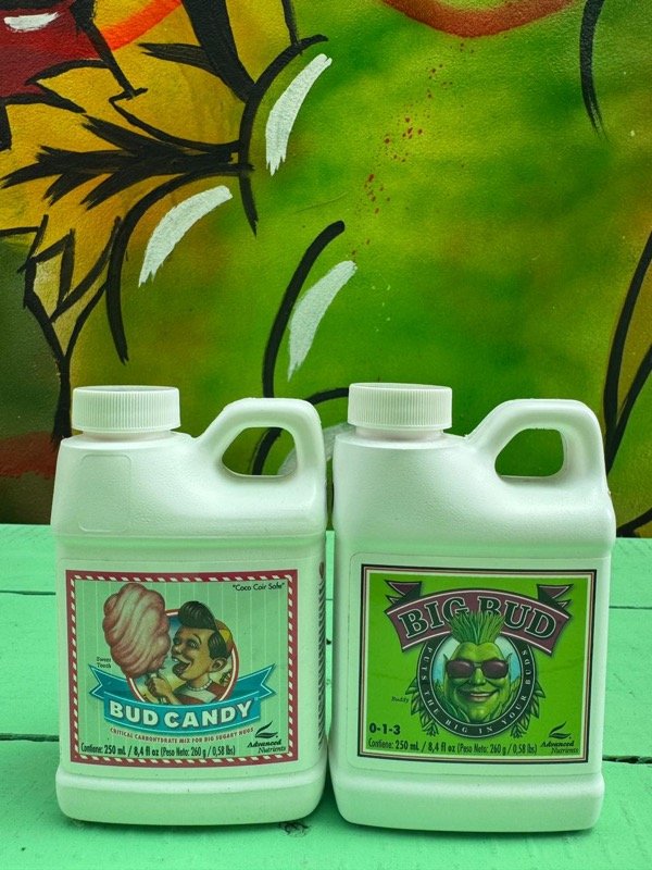 Producto - COMBO PRE FLORA advanced