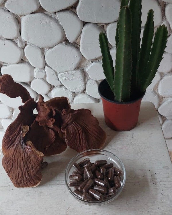 Producto - Blend de 30 capsulas de 0,4 de REISHI -INMUNIDAD-