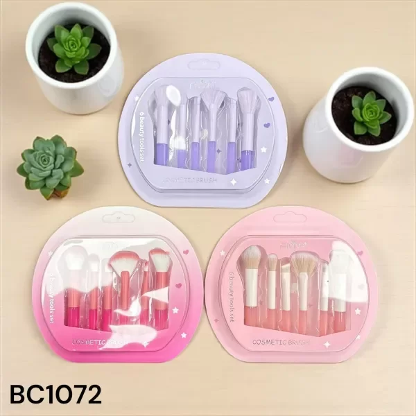 Producto - SET X6 BROCHAS VARIAS - Annina