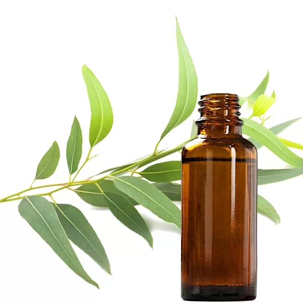 Producto - Aceite Esencial de Tea Tree